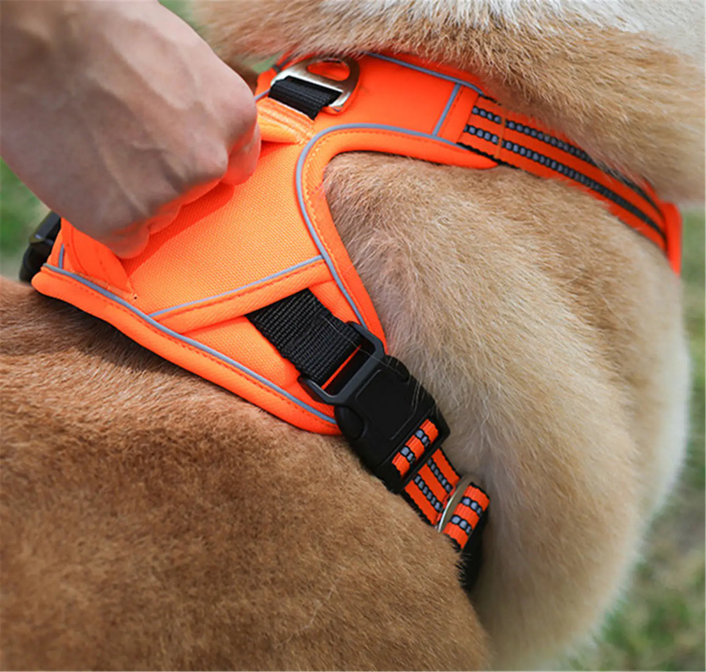 AdventurePro Waterproof Harness
