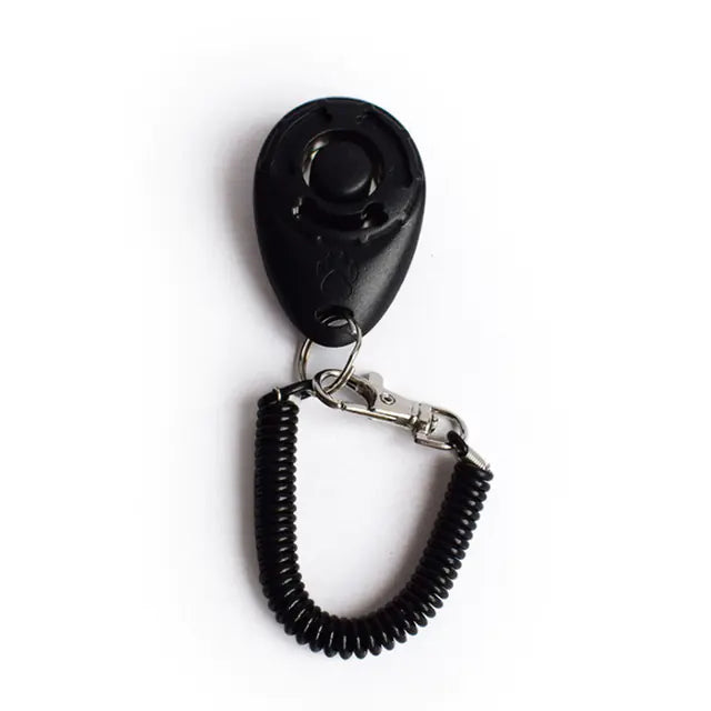 Click & Train Keychain