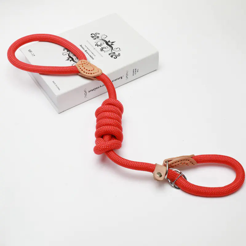 EasyWalk Slip Lead