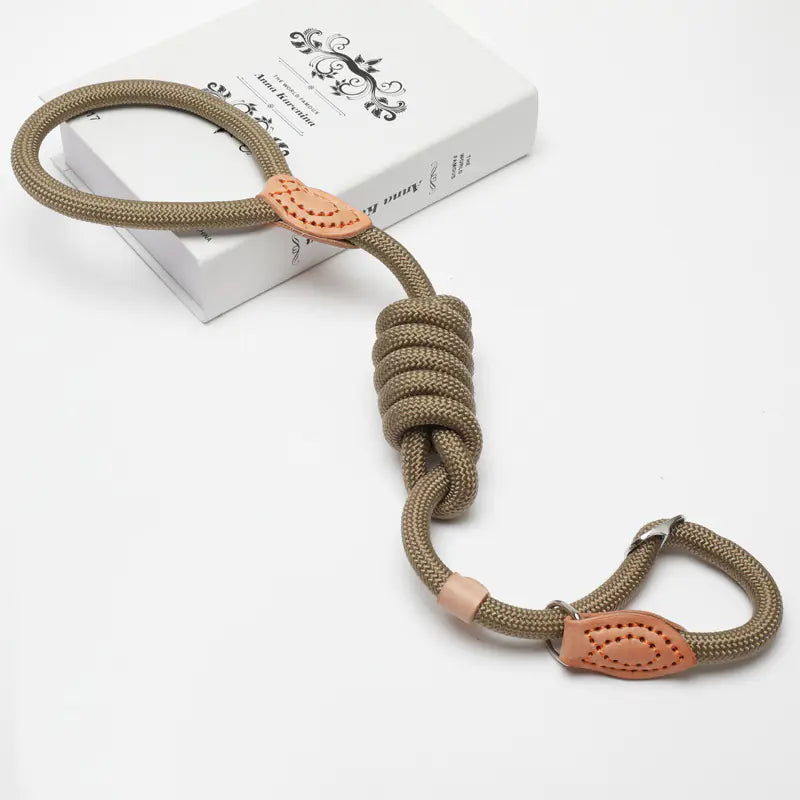 EasyWalk Slip Lead