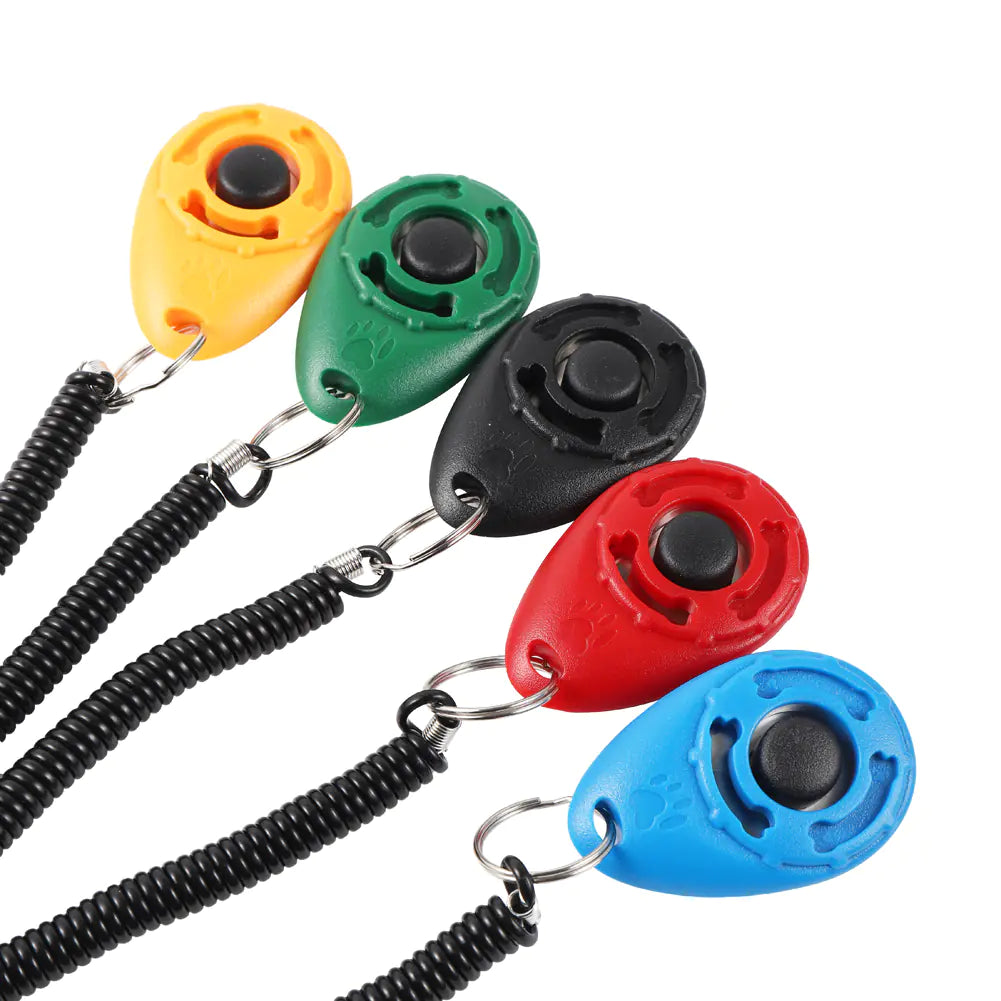 Click & Train Keychain