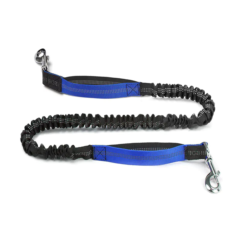 Trail Buddy Pet Run Leash