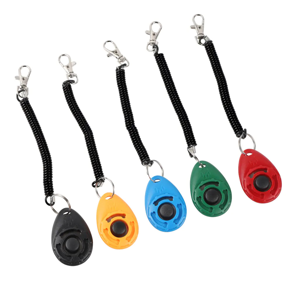 Click & Train Keychain