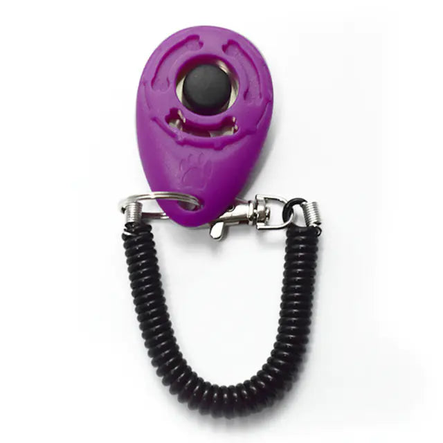 Click & Train Keychain