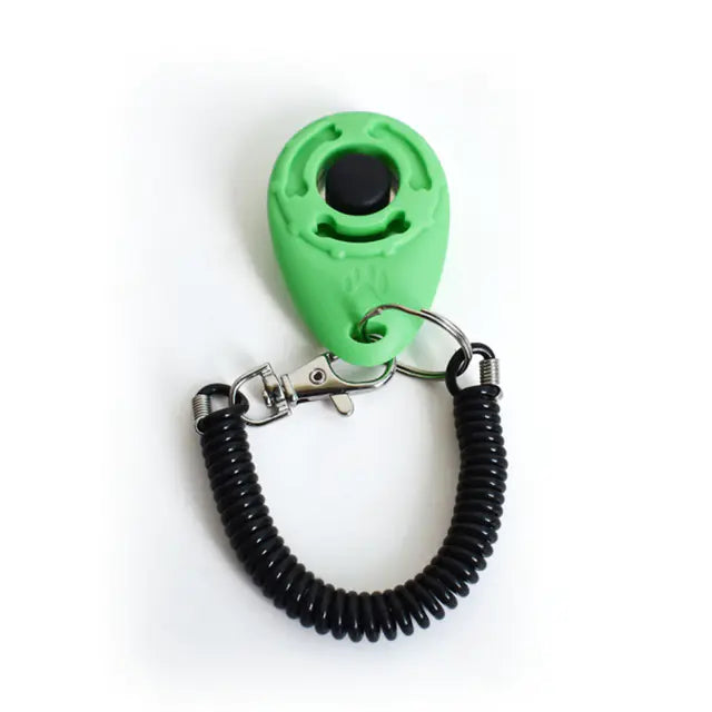 Click & Train Keychain