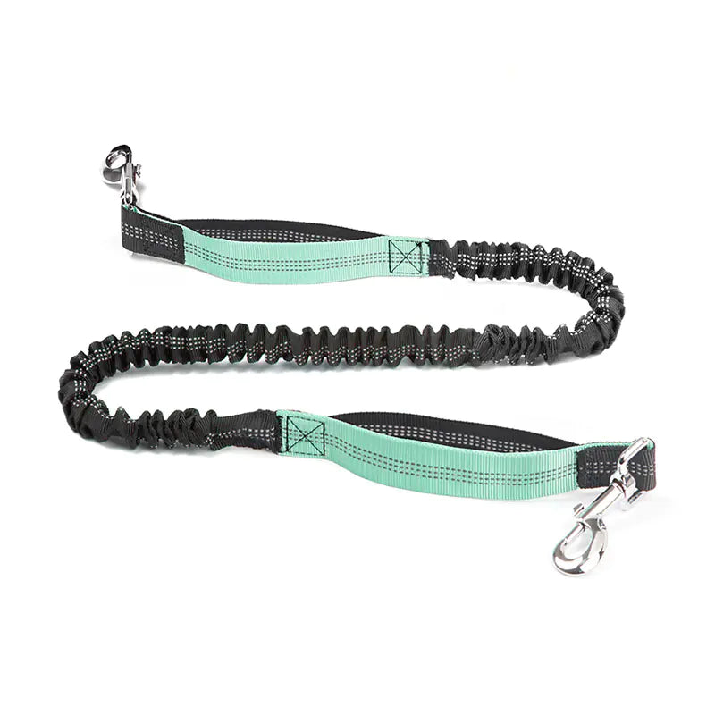 Trail Buddy Pet Run Leash