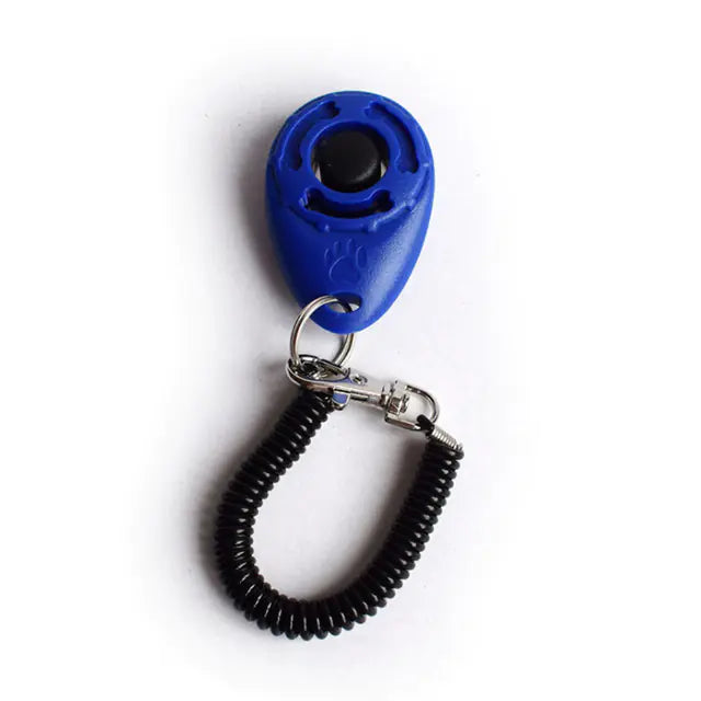 Click & Train Keychain