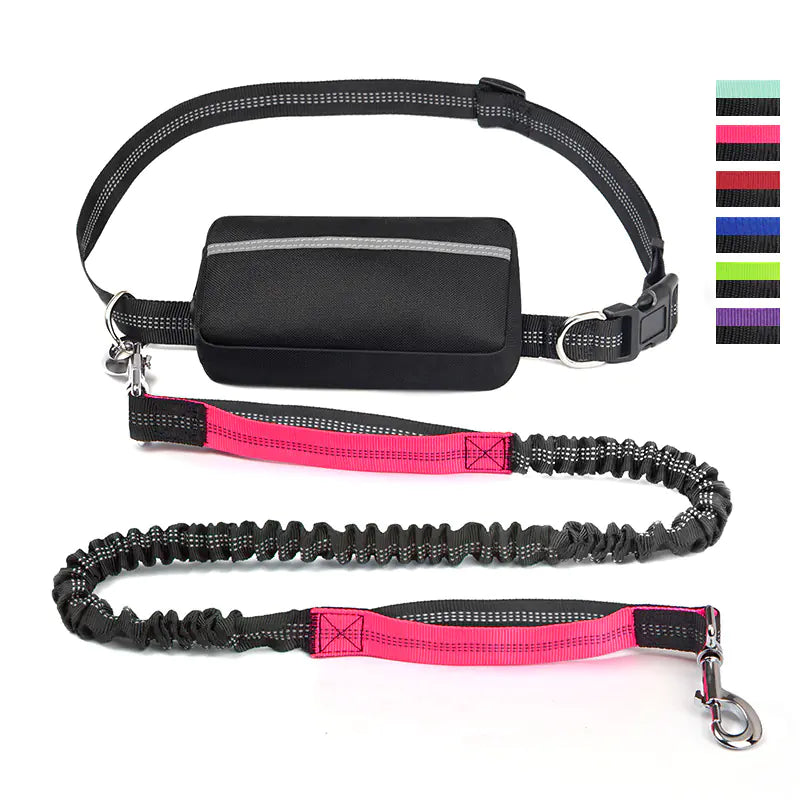 Trail Buddy Pet Run Leash