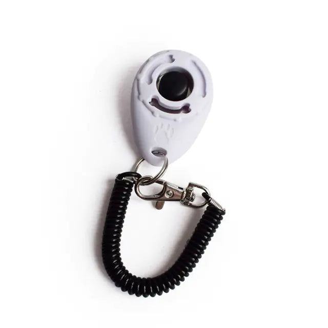 Click & Train Keychain