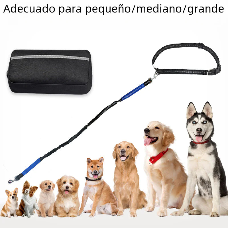 Trail Buddy Pet Run Leash
