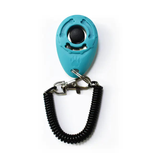 Click & Train Keychain
