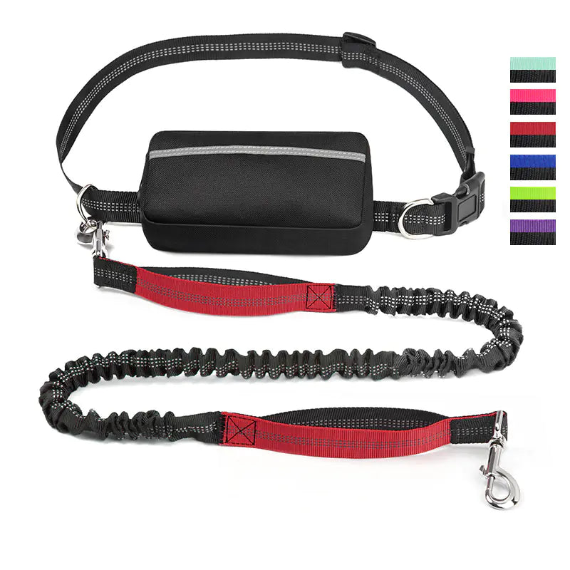 Trail Buddy Pet Run Leash