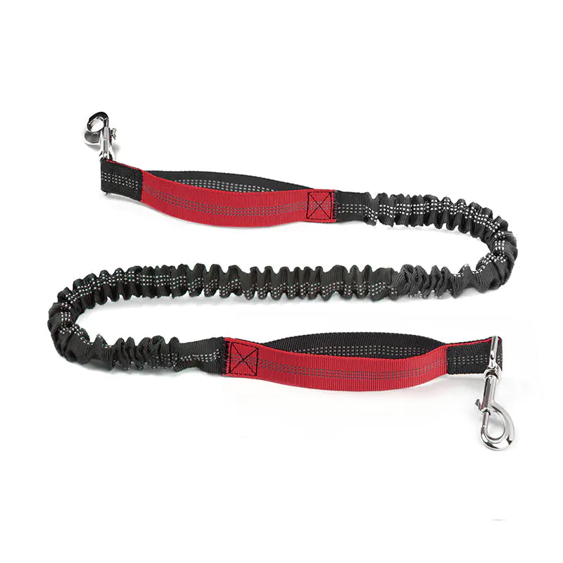 Trail Buddy Pet Run Leash