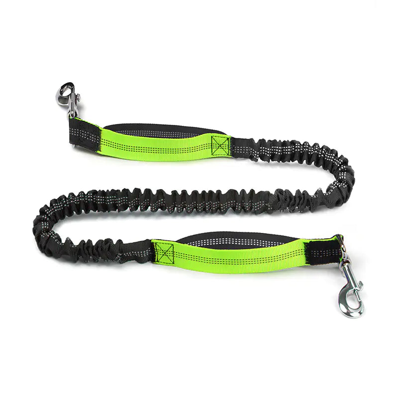 Trail Buddy Pet Run Leash