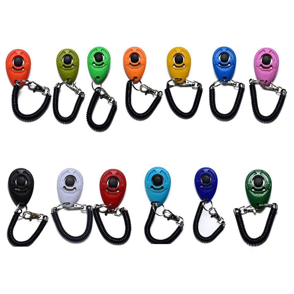 Click & Train Keychain