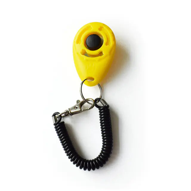 Click & Train Keychain