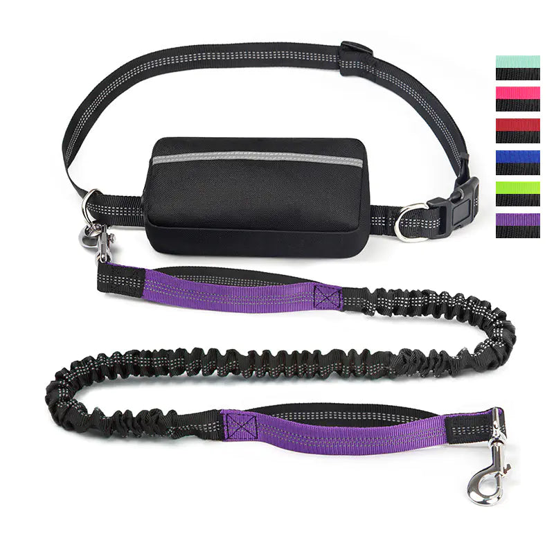 Trail Buddy Pet Run Leash