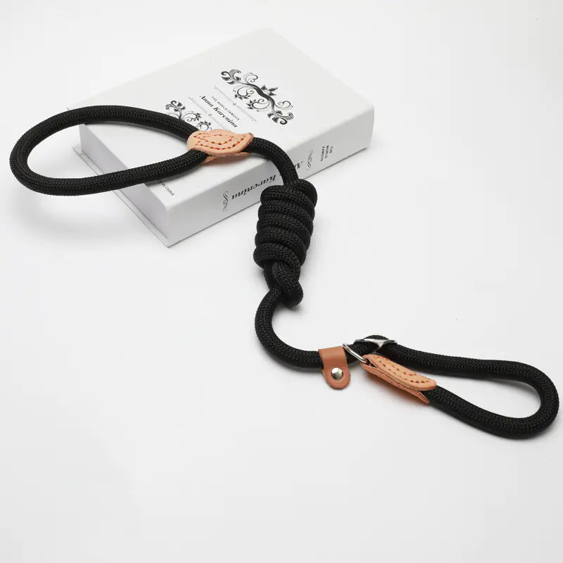 EasyWalk Slip Lead