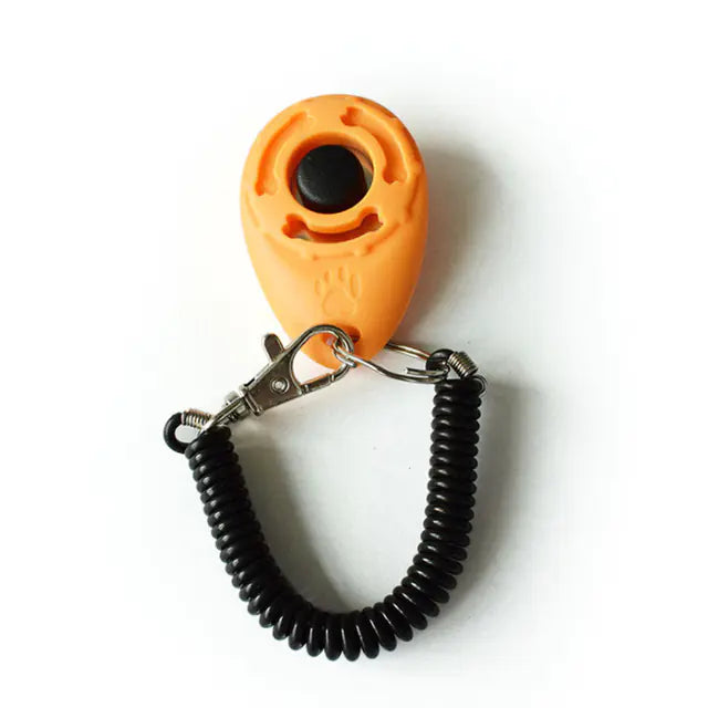 Click & Train Keychain