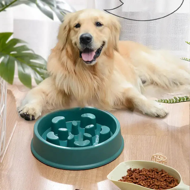 Petal Slow Feed Dog Bowl