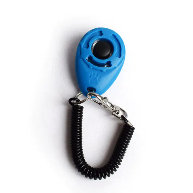 Click & Train Keychain