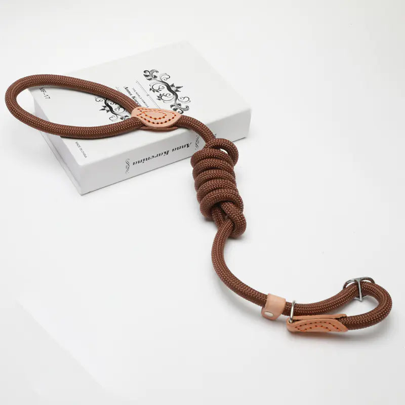 EasyWalk Slip Lead
