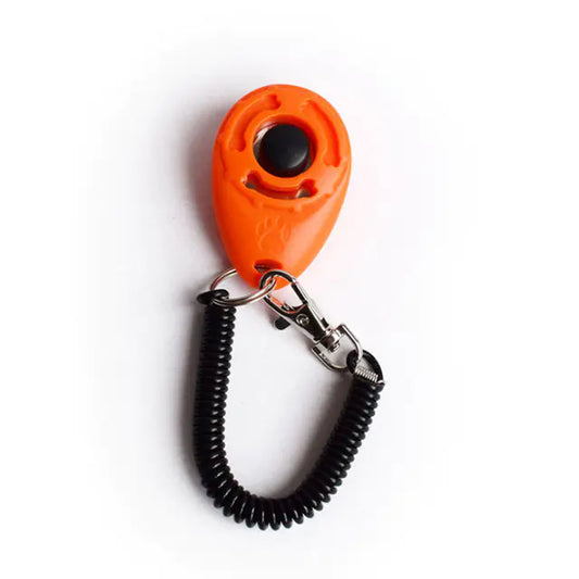 Click & Train Keychain