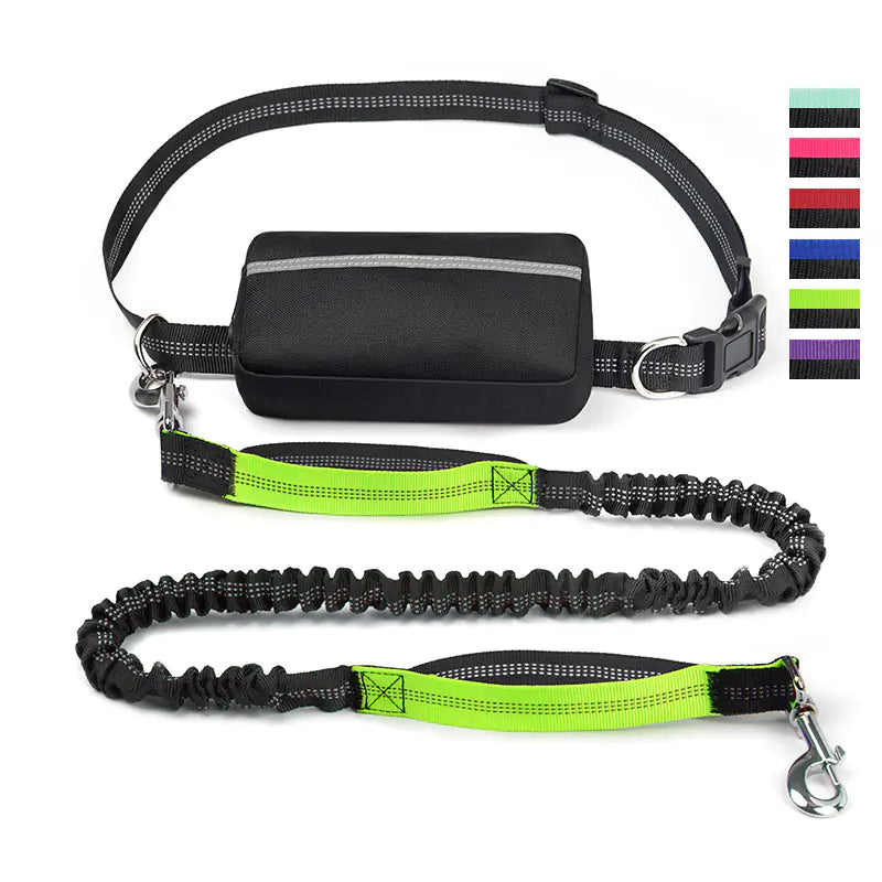 Trail Buddy Pet Run Leash