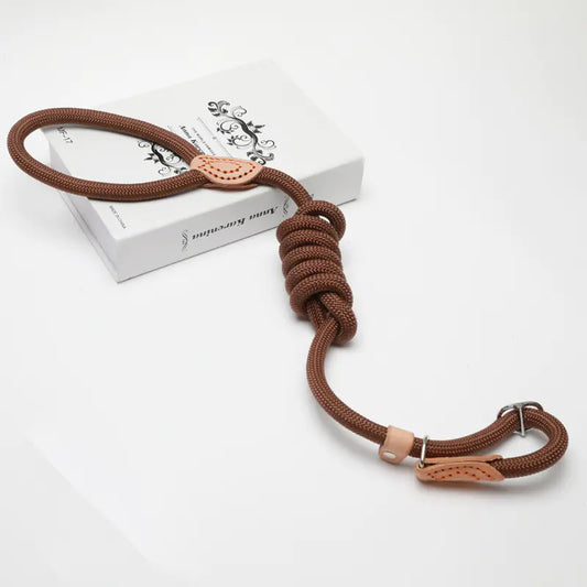 EasyWalk Slip Lead