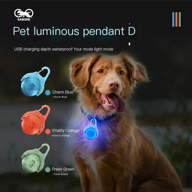 PetBrite 360 Safety Pendant
