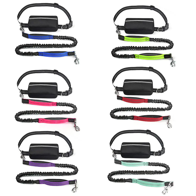 Trail Buddy Pet Run Leash
