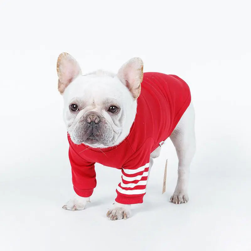Cozy Pooch Pullovers