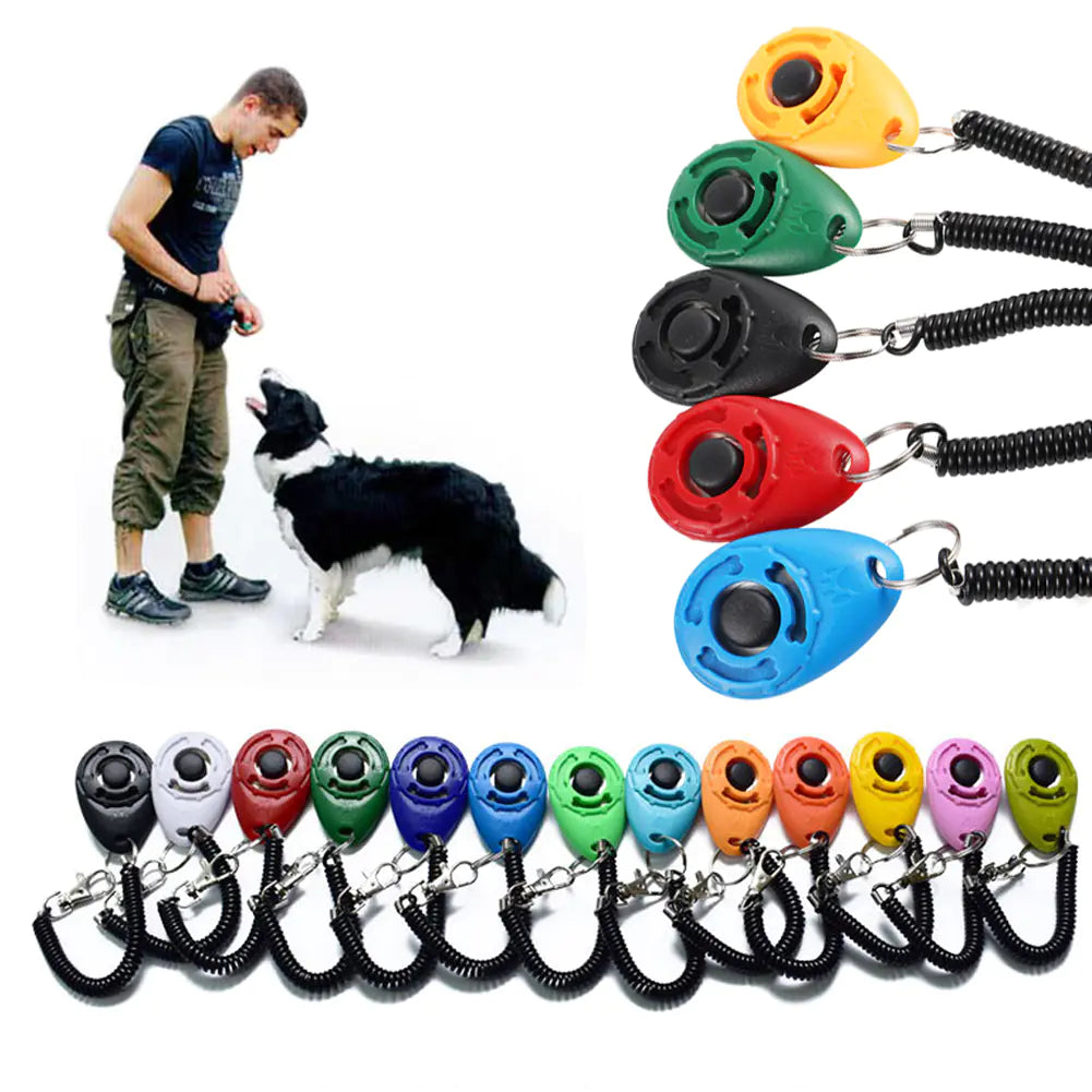 Click & Train Keychain