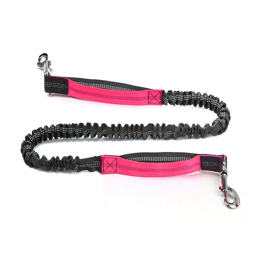 Trail Buddy Pet Run Leash
