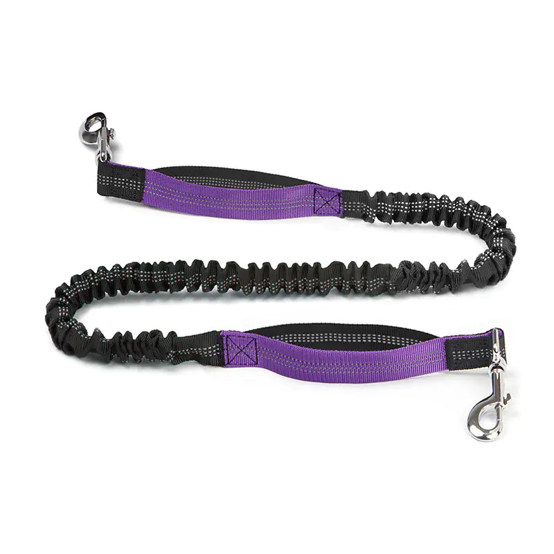 Trail Buddy Pet Run Leash