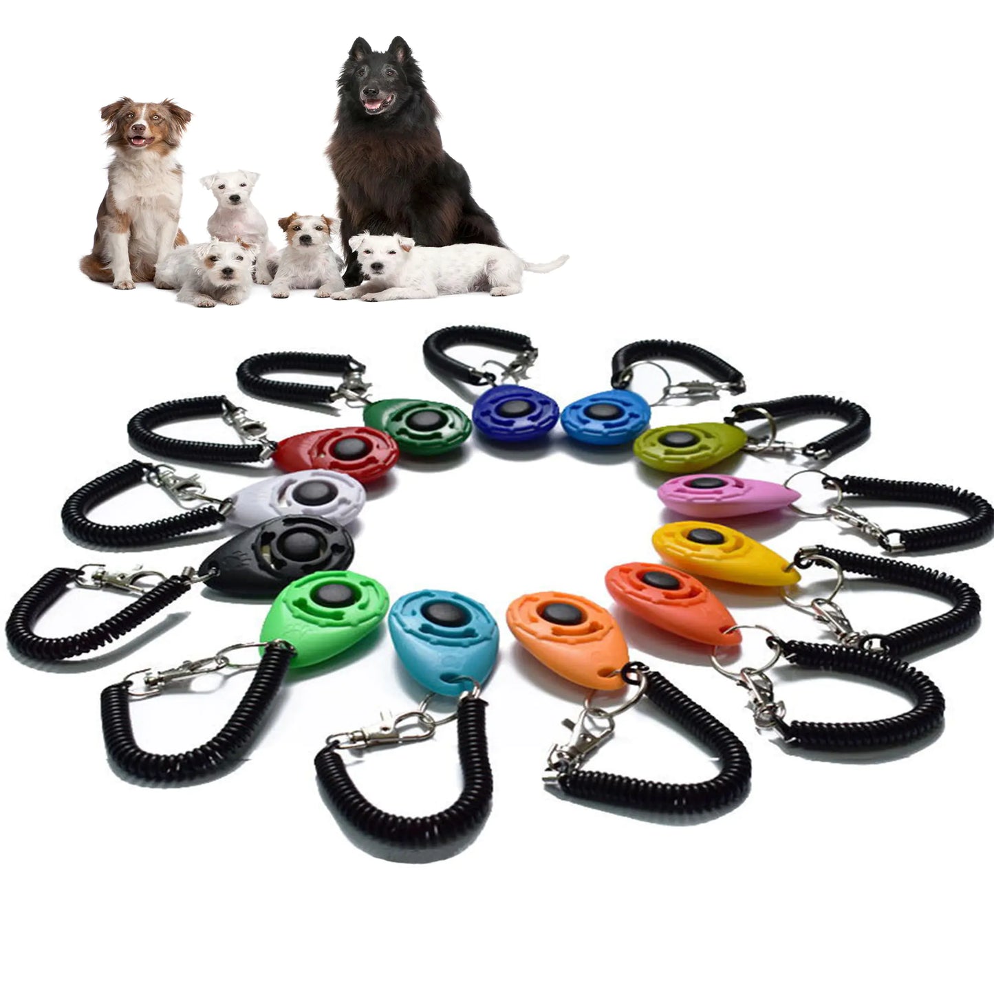Click & Train Keychain