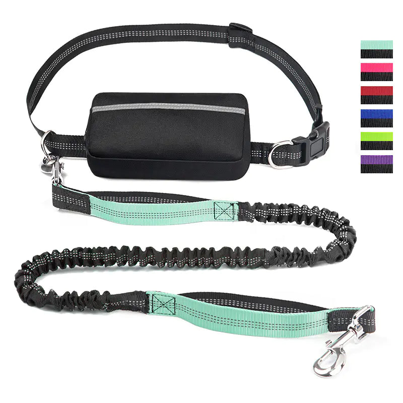 Trail Buddy Pet Run Leash