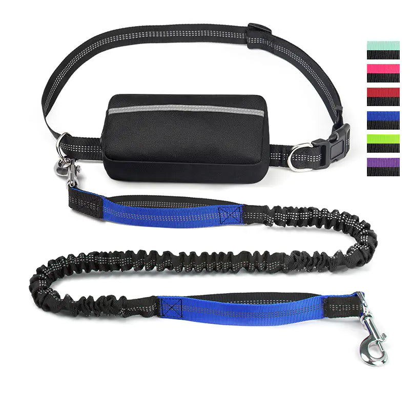 Trail Buddy Pet Run Leash